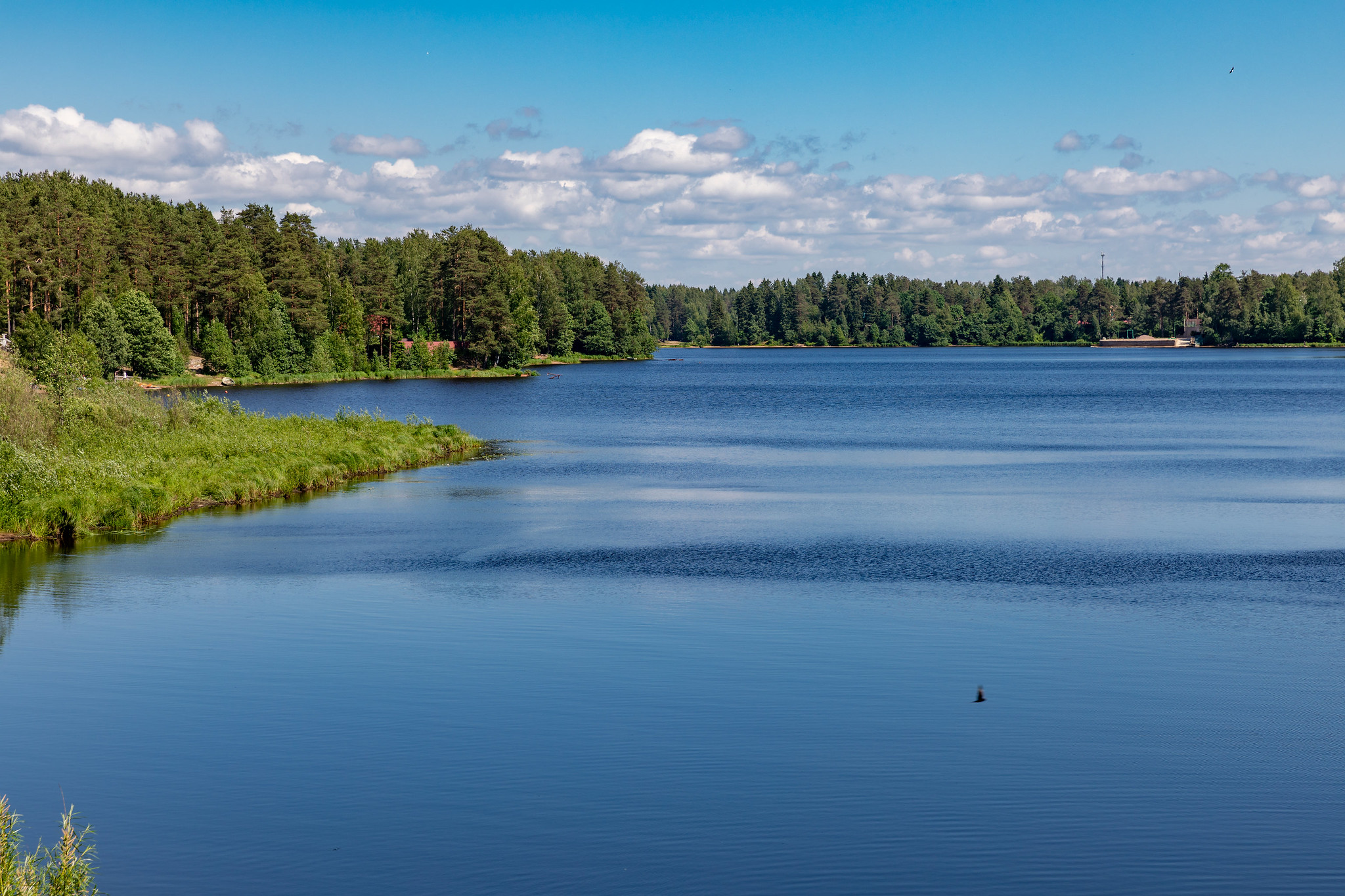 Roshchino (Рощино, Raivola) (Photo license: CC BY 2.0)